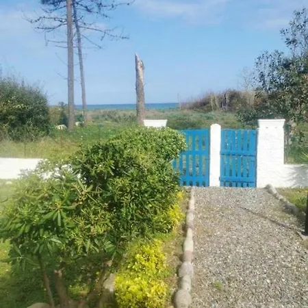 Maison D'une A Lucciana A 50 M De La Plage Avec Jardin Clos Et Wifi 펜션
